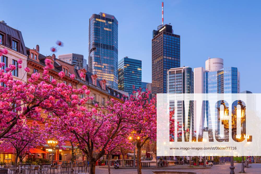 Frühling in Frankfurt am Main (07.04.2025)