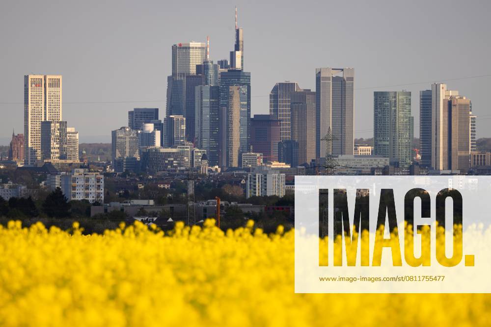 Frühling in Frankfurt am Main (15.04.2025)