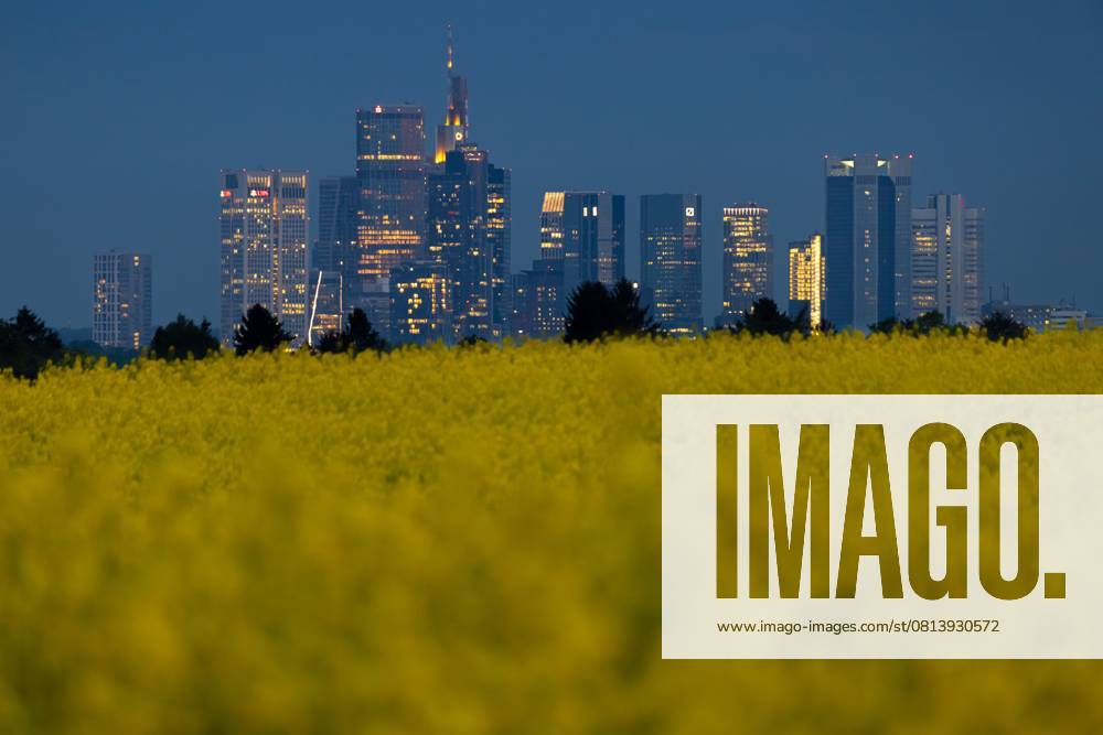 Frankfurt im Frühling (23.04.2025)