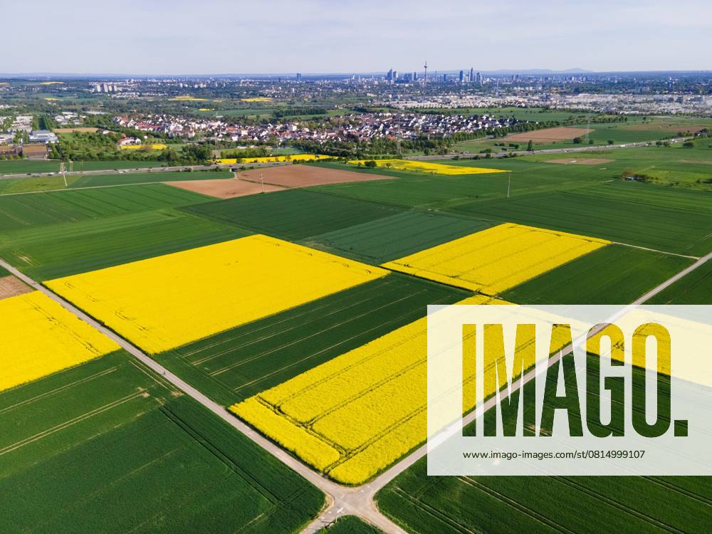 Frankfurt im Frühling (28.04.2025)