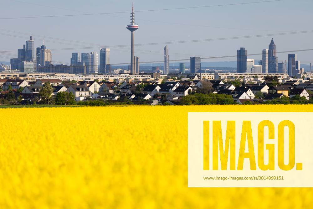 Frankfurt im Frühling (28.04.2025)