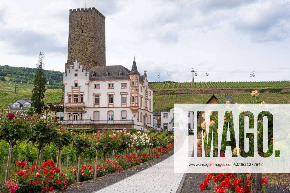 Rüdesheim am Rhein (02.06.2025)