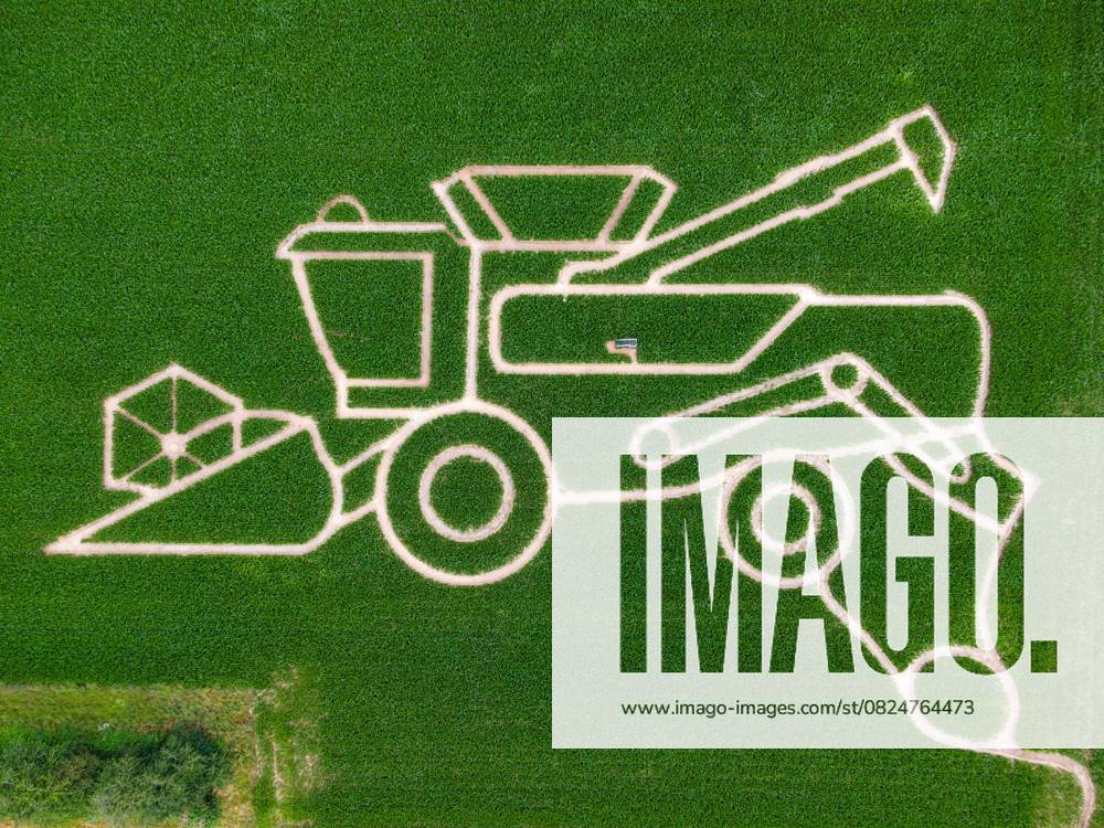 Maislabyrinth (09.07.2025)