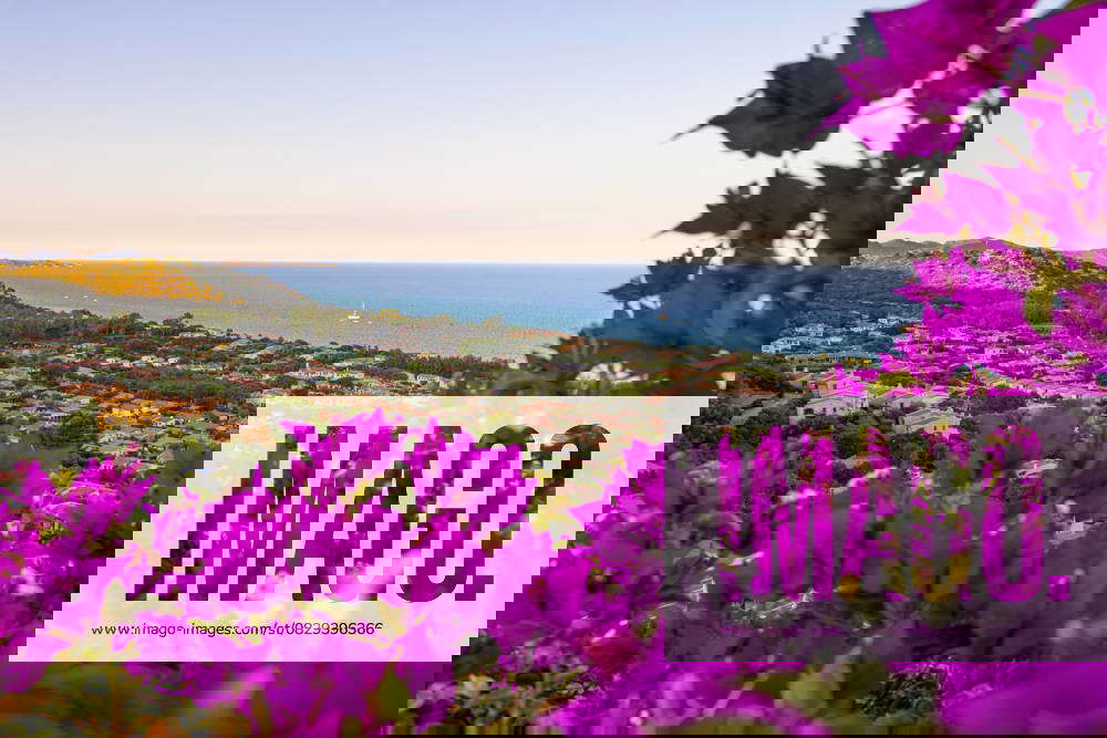 Costa Rei (05.08.2025)