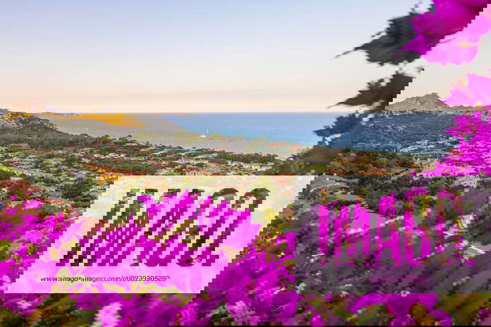 Costa Rei (05.08.2025)