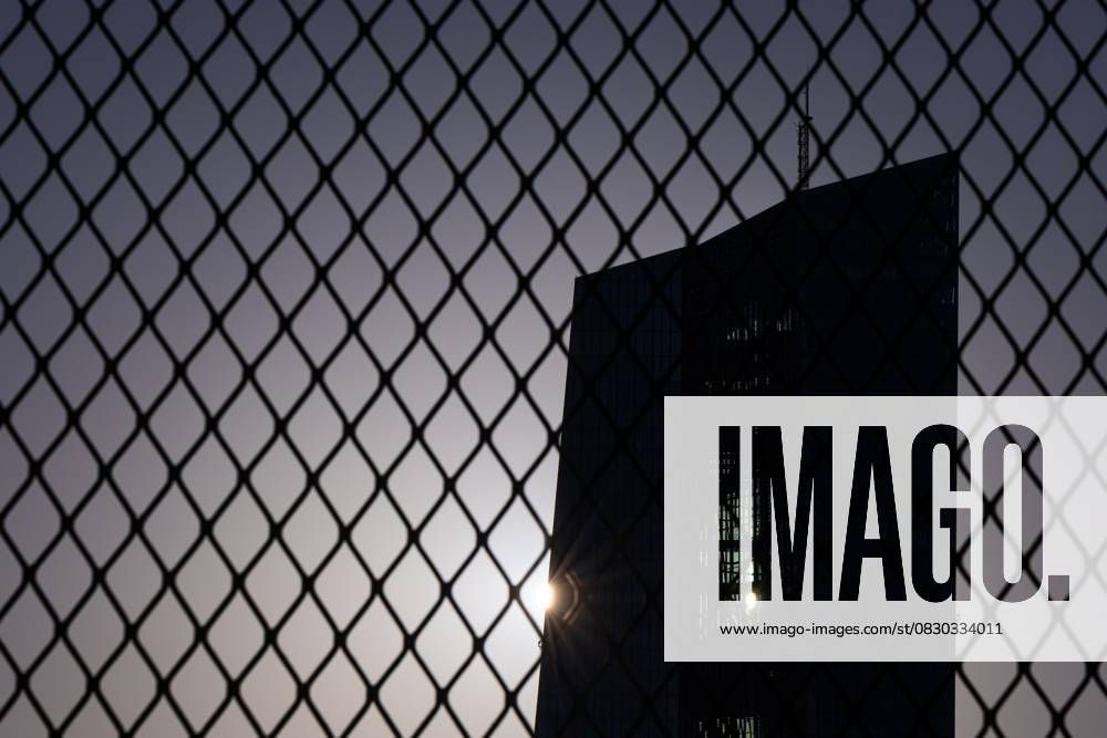 Die Europäische Zentralbank (EZB) in Frankfurt (12.08.2025)