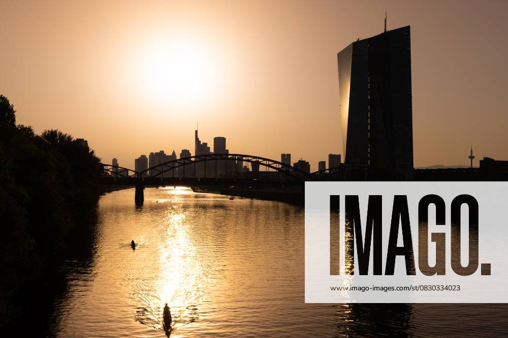 Sommer und Hitze in Frankfurt am Main (12.08.2025)