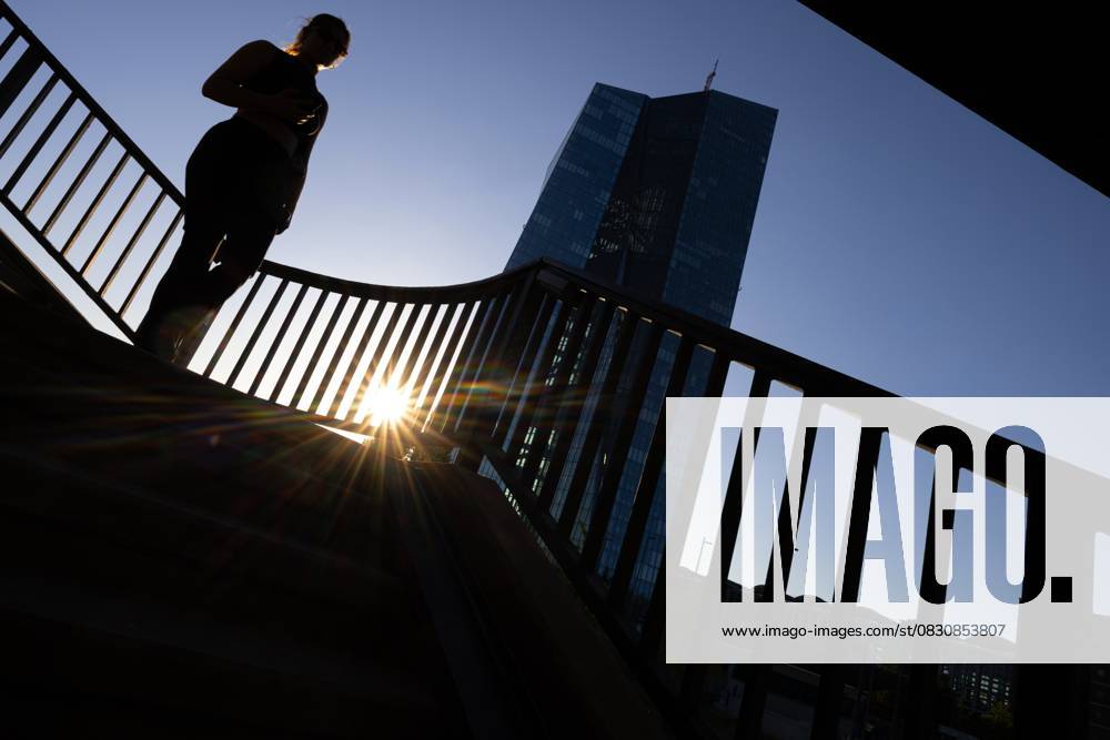 Die Europäische Zentralbank (EZB) in Frankfurt (18.08.2025)