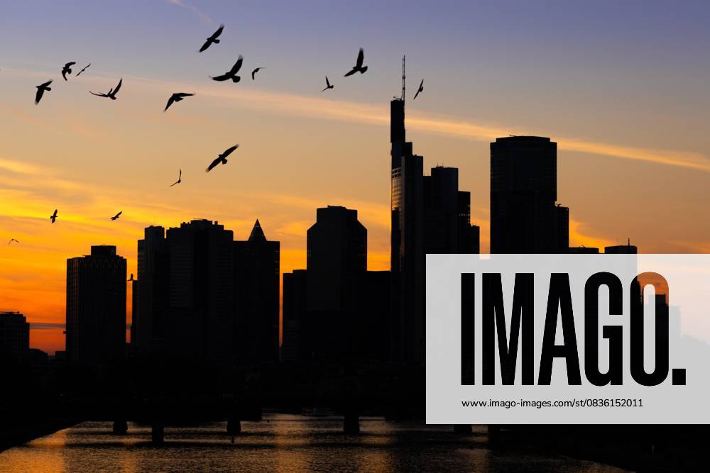 Die Frankfurter Skyline am Abend (02.10.2025)