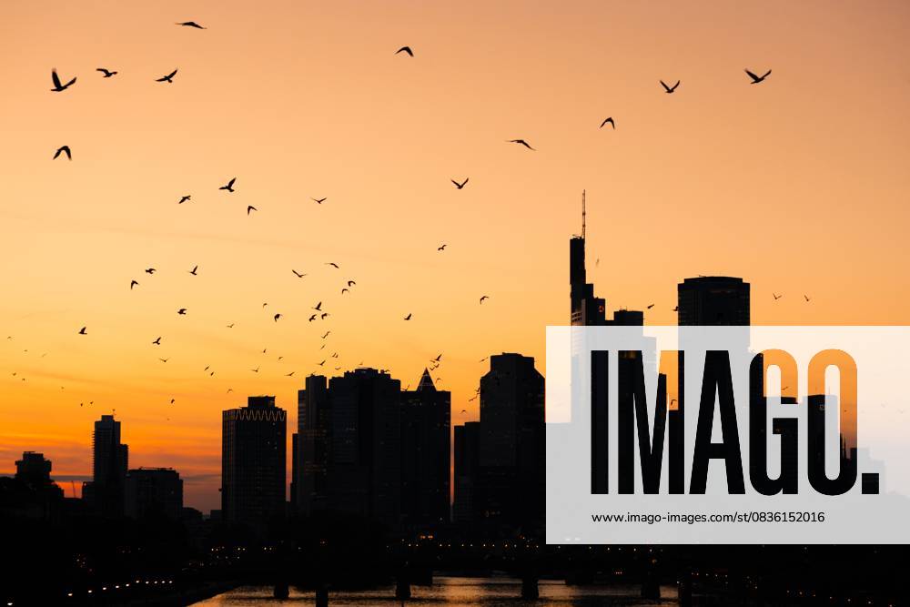 Die Frankfurter Skyline am Abend (02.10.2025)