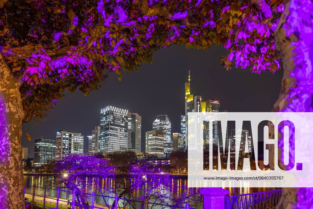 Die Frankfurter Skyline am Abend (14.11.2025)