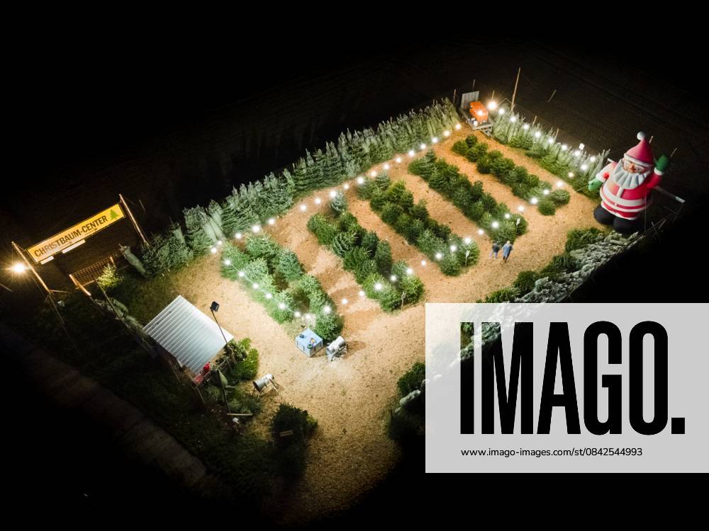 Weihnachtszeit - Christbaum-Verkauf (10.12.2025)