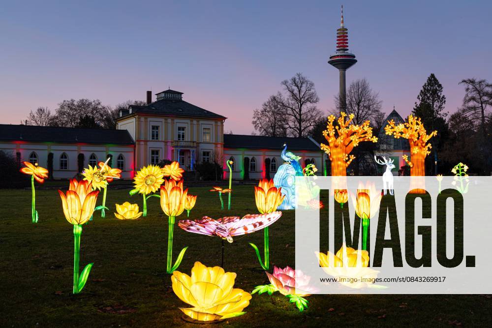 Winterlichter im Palmengarten Frankfurt (18.12.2025)