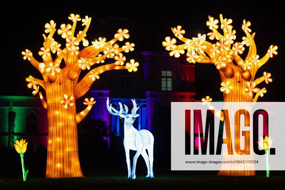 Winterlichter im Palmengarten Frankfurt (18.12.2025)