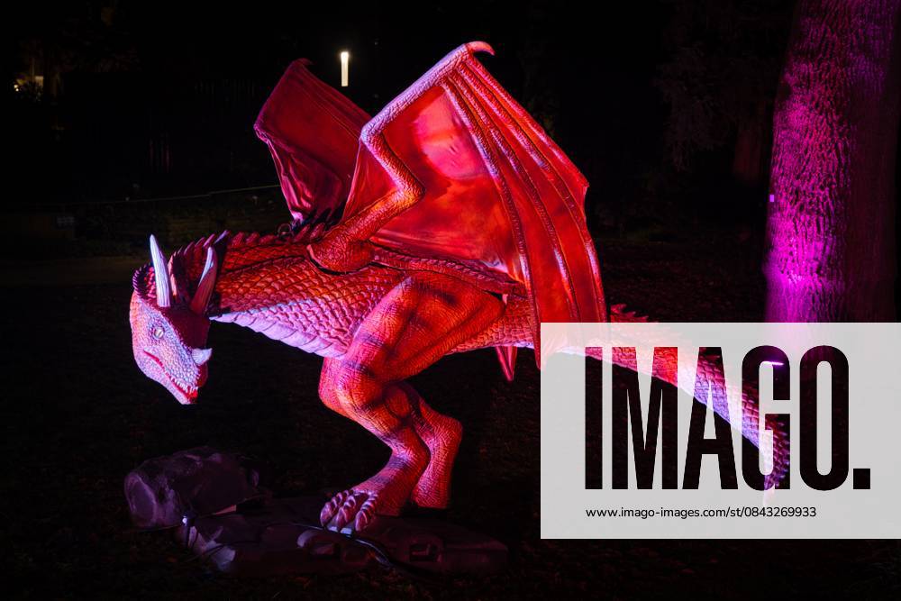 Winterlichter im Palmengarten Frankfurt (18.12.2025)